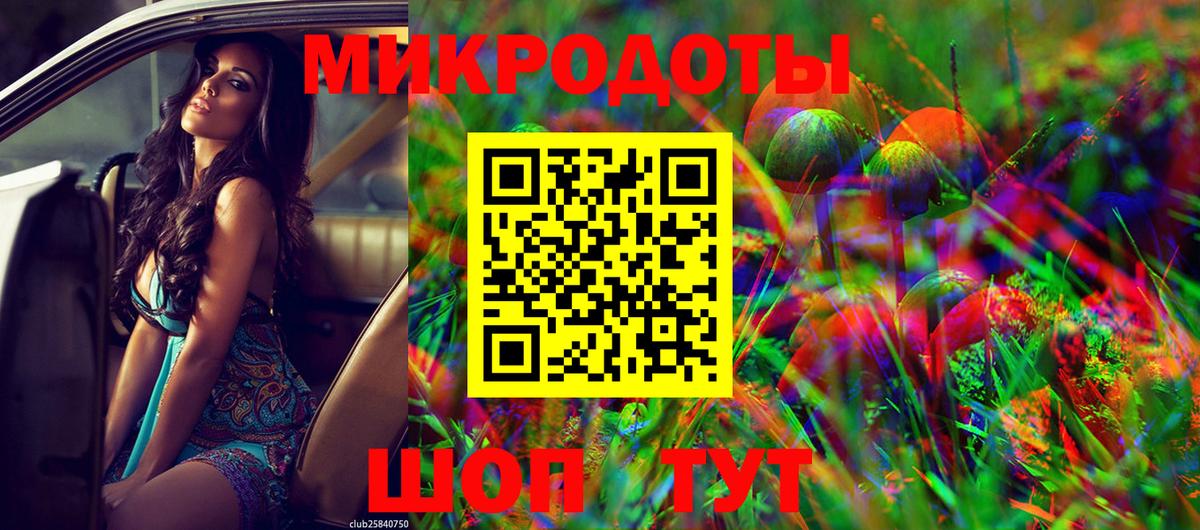 Сунжа  закладки  Вход с VPN  Галлюциногенные грибы ЛСД  Галлюциногенные грибы Psilocybe 
