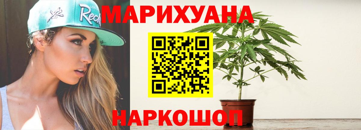 Шишки марихуана OG Kush Сунжа
